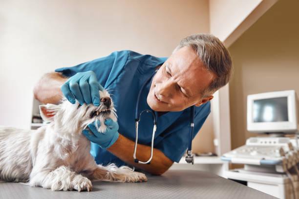 Best Emergency Tooth Extraction in Manassas, VA